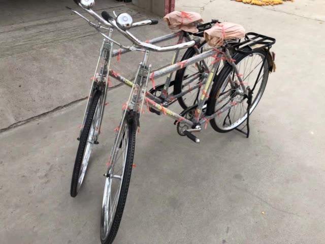 大金鹿自行车,库存全新的全国仅此两台.