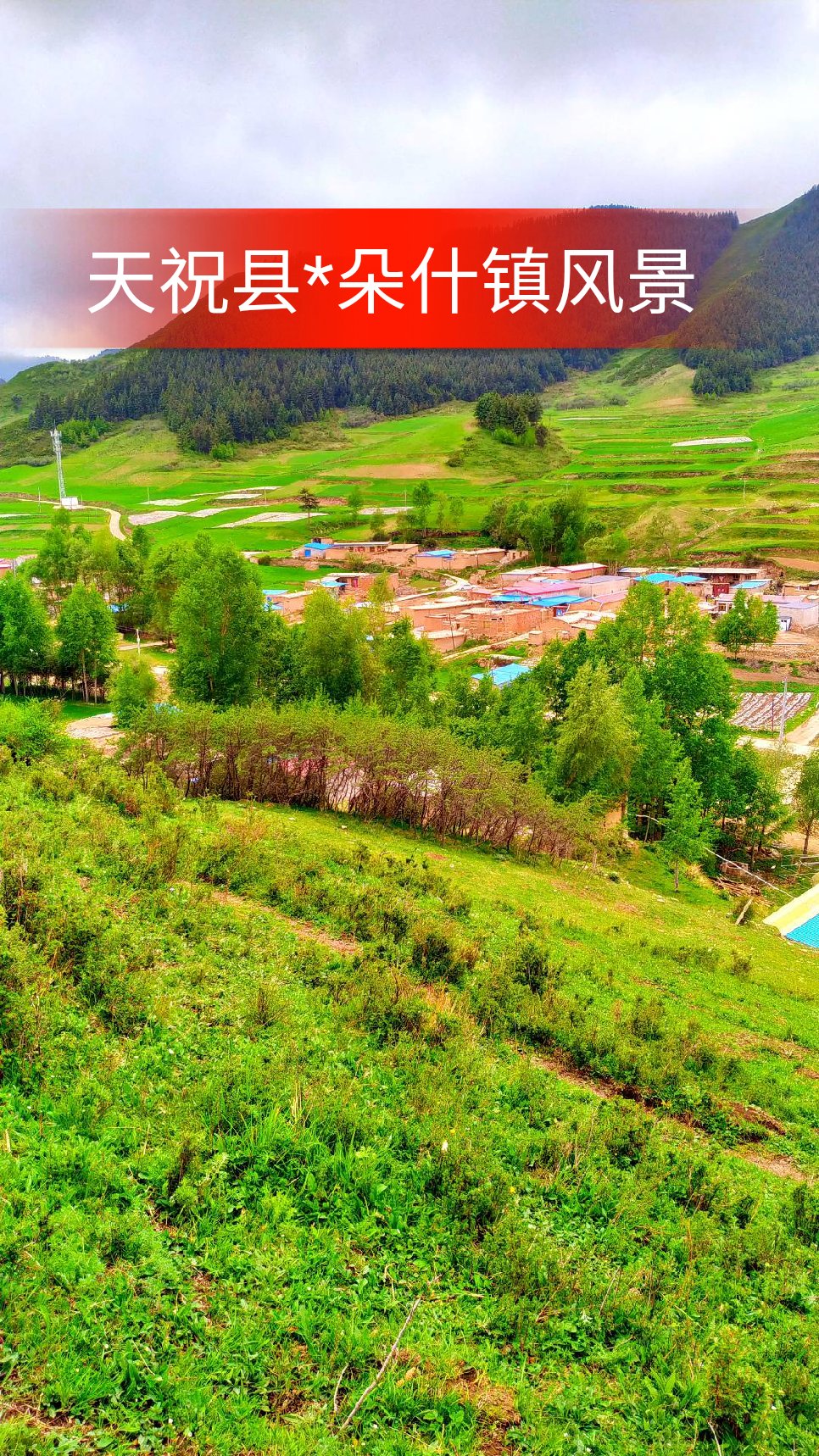 天祝县朵什镇风景!  380                      5              1月前